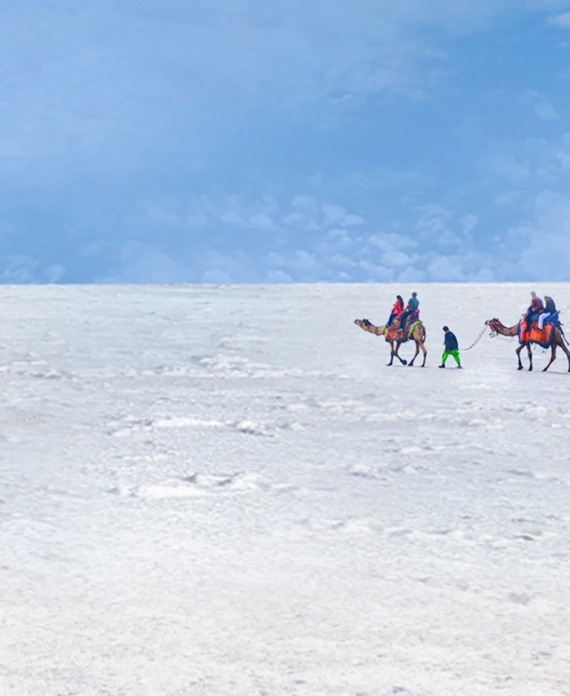 White Desert